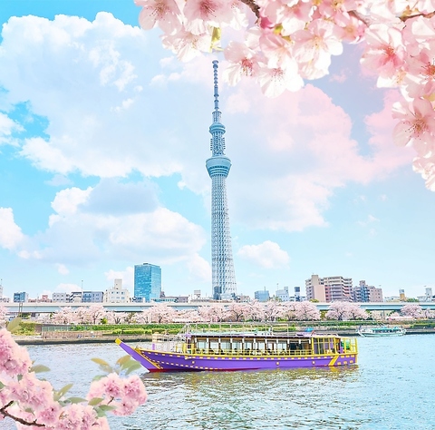 お花見特別便のご予約承ります！食べ飲み放題と東京観光を一緒に楽しめる屋形船！！