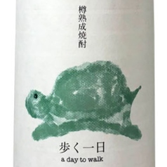 カメハイ