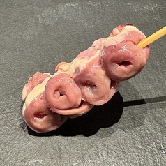ハツ元