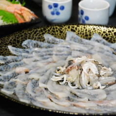 居酒屋ホタル 今池店のコース写真