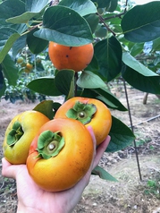 スムージー専門店　DRINK　DRANKの写真3