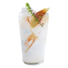 ミョウガのジントニック