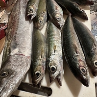 ◆店主自ら仕入れた鮮魚たち！