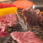 店主が厳選したこだわりの和牛!単品はもちろん、自慢の和牛を存分に堪能できるお得なコースもご用意しており、様々なシーンでお楽しみください。