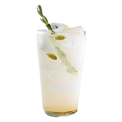 カルダモンのジントニック