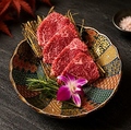 料理メニュー写真&nbsp;ランプ