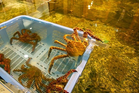 海鮮ベースの和食と温もり溢れる空間でおもてなし-。