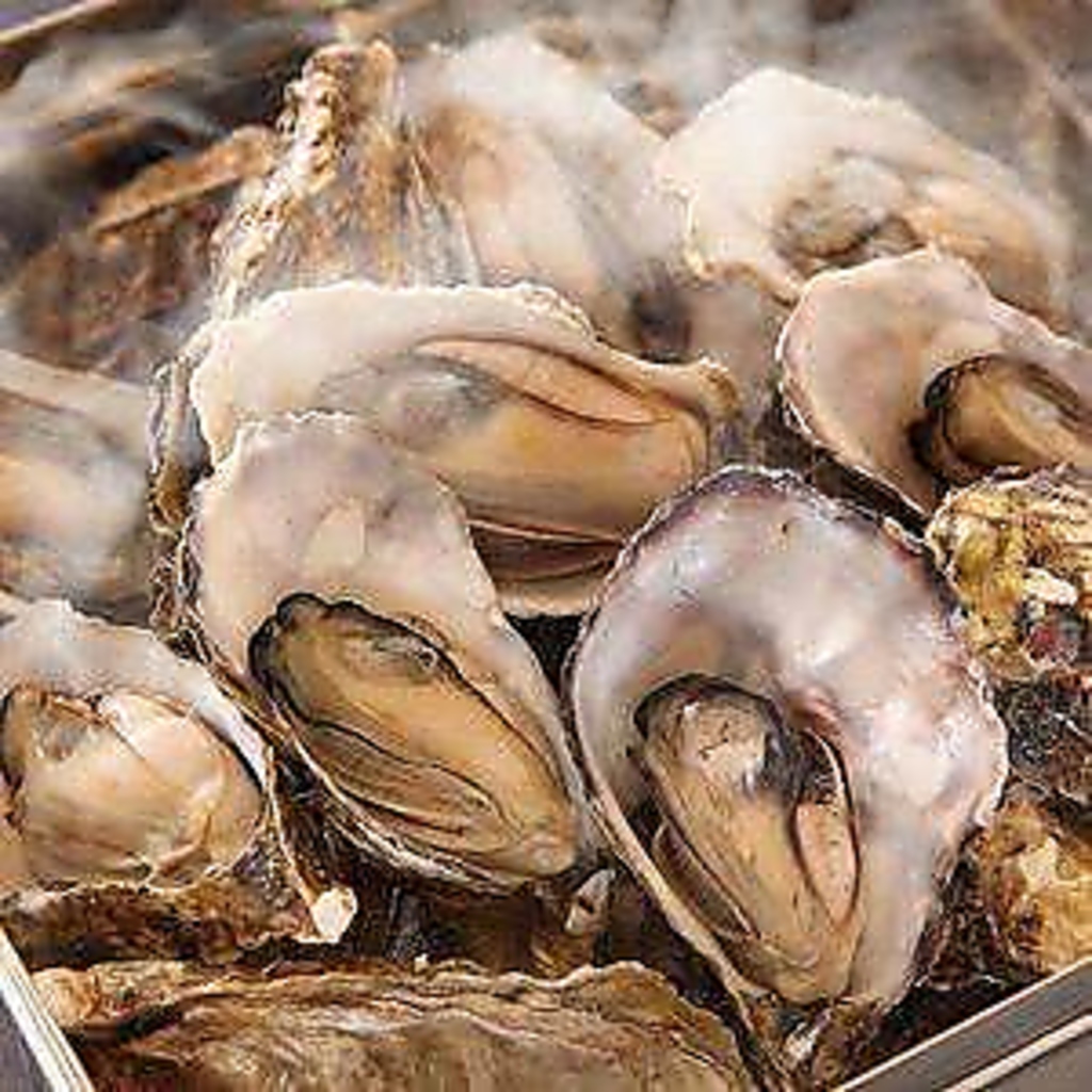 海鮮居酒屋 豊丸水産 岩国駅前店の写真ギャラリー