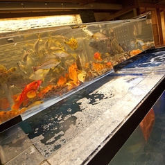 博多魚がし 海の路 天神店の特集写真