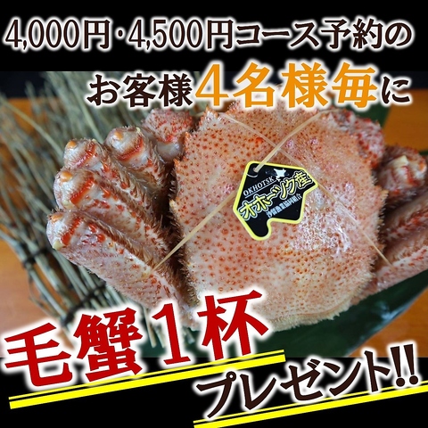 4000・4500円コース予約のお客様4名様毎に毛蟹1杯プレゼント！！