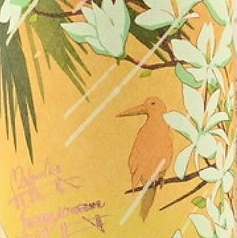 芋 サニークリーム 鹿児島