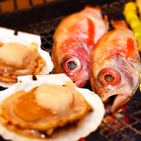 ������ �{�� �Ђ΂�