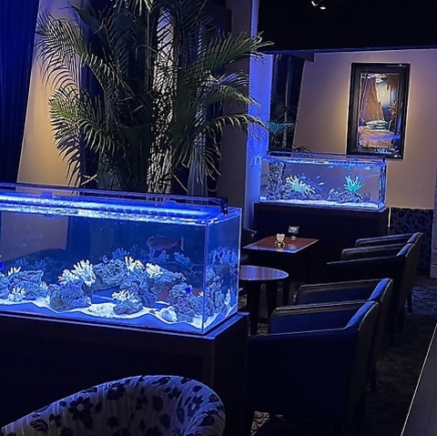 The BAR BLEEZEBLUE Uo[u[Yu[ 