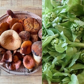 和の食 KOHAKU コハクのおすすめ料理2