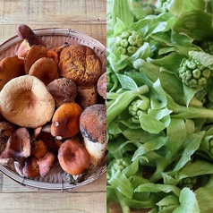  山の恵み天然の山菜、きのこ、川魚料理の写真