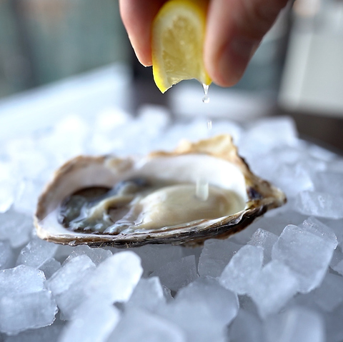 Gumbo Oyster Bar ガンボ オイスターバー Nu茶屋町店 茶屋町 中崎町 中津 ダイニングバー バル ネット予約可 ホットペッパーグルメ