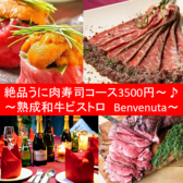 ベンベヌータ Benvenutaの詳細
