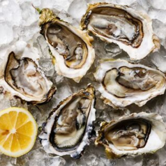 痛風屋バル 秋葉原店のコース写真