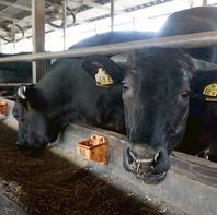 肉に真摯に、真心こめて