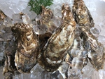 日々開催中産地直送の生牡蠣祭。生、焼き、蒸し、オーブン焼きお好みの食べ方でどうぞ一個680です