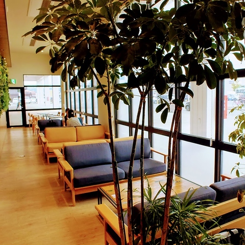 Coccinelle RVj[ MORIOKA TUTAYAXO