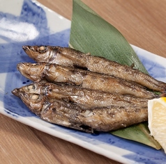 目ヒカリ焼