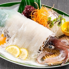 剣先イカの姿づくり