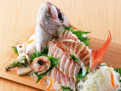 天草みやび鯛姿造り【※前日までのご予約】