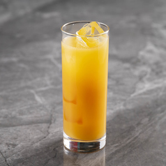 マリブコーラ/モヒート/ジンライム/ファジーネーブル