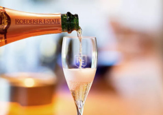 THE CELLAR TOKYO ザ セラー トーキョーの特集写真
