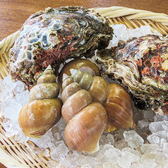 その日水揚げされた、新鮮な旬の鮮魚を使った贅沢なお刺身の盛り合わせとなっております。