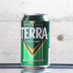 韓国ビール(TERRA)