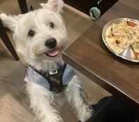 ワンコ入店可☆