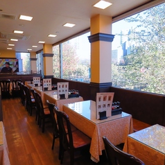 シュウメイロオの特集写真