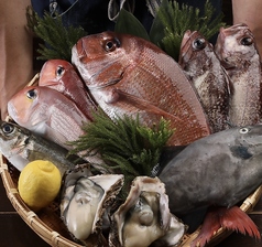 魚とシャリ　UROKOの写真2