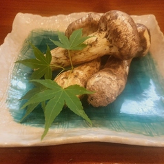 居酒屋 千種の特集写真