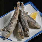 季節の移ろいを感じさせる見た目にも美しい料理の数々は、特別な日のお食事会にもぴったりです◎