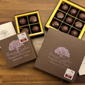 CacaoZoku