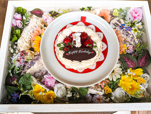 KAKIMASA JL}T ΎRwOX