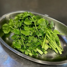 ミナリ（セリ）