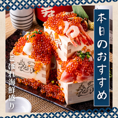 居酒屋 海鮮道楽 藤沢店特集写真1