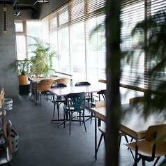 TT" a Little Knowledge Storeのコース写真