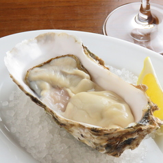 新鮮な生牡蠣 or 蒸し牡蠣 