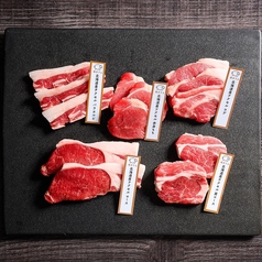 【北海道産羊肉テクセル】北海道の牧場からお届けする希少なラム肉の写真