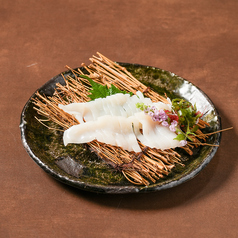 活イカ