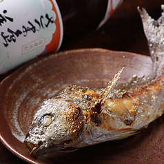 鮮魚屋のコース写真