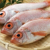 魚と日本酒 和食いぶり 別邸 新橋店のおすすめ料理2