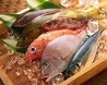 旨い魚と近江の味処 大津つりやのおすすめポイント1