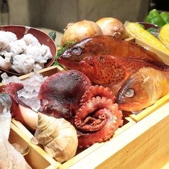 魚えん お初天神店の特集写真