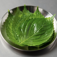 エゴマの葉（5枚）